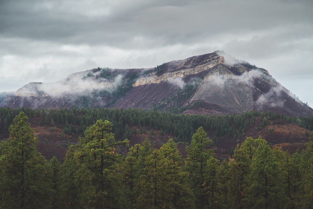 Low clouds trail across a rugged, gray-brown mountain ridge with pale rock bands, rising above a dense green pine forest under a heavy, overcast sky.