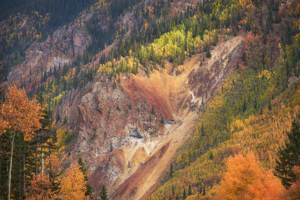 Steep, rugged mountainside with a reddish-orange landslide scar cutting through dense aspens in autumn hues of yellow and orange, dotted with dark evergreens.