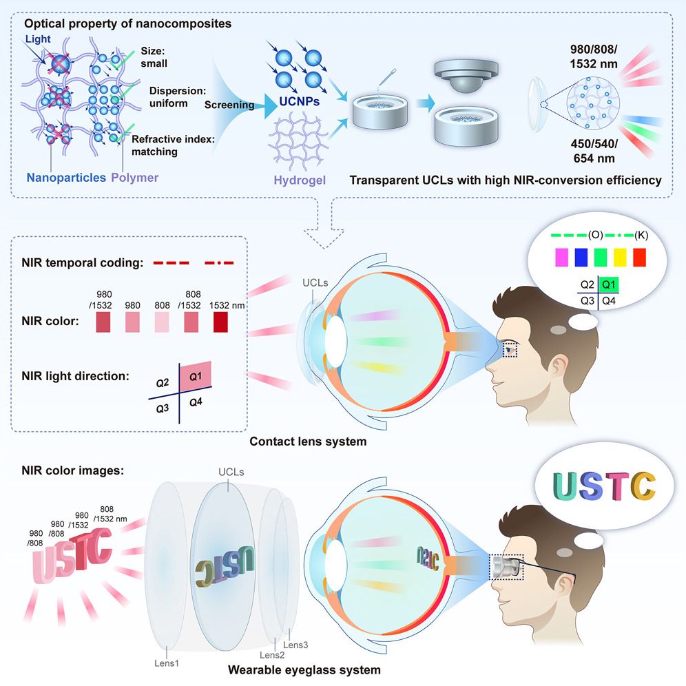 Graphical abstract for the linked paper.

Top) A diagram depicting the optical properties of nano-composites used to create the near-IR contact lens system.

Middle) A diagram showing how different wavelengths of near-IR light can be shifted into the visible spectrum.

Bottom) A diagram depicting a wearable eyeglass system with the same capabilities of the contact lens system described in the middle of this graphical abstract.