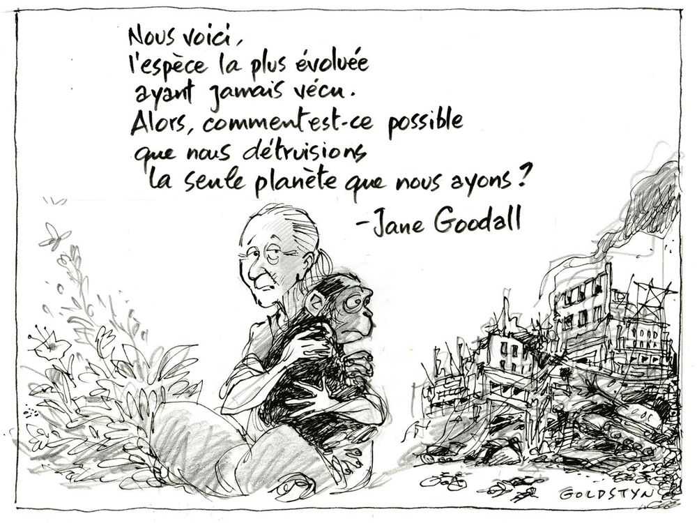 Jane Goodall par Jacques Goldstyn. Tenant un chimpanzé dans ses bras devant un monde en ruine, elle dit : « Nous voici, l'espèce la plus évoluée ayant jamais vécu. Alors comment est-ce possible que nous détruision la seule planète que nous ayons? »