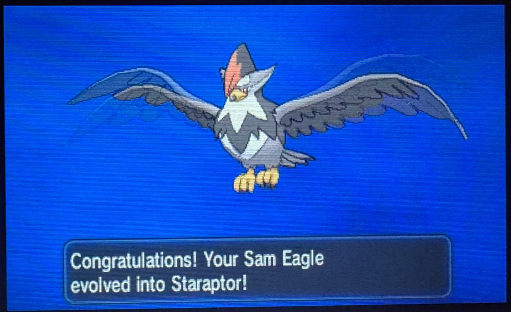 Staraptor, Pokemon Y