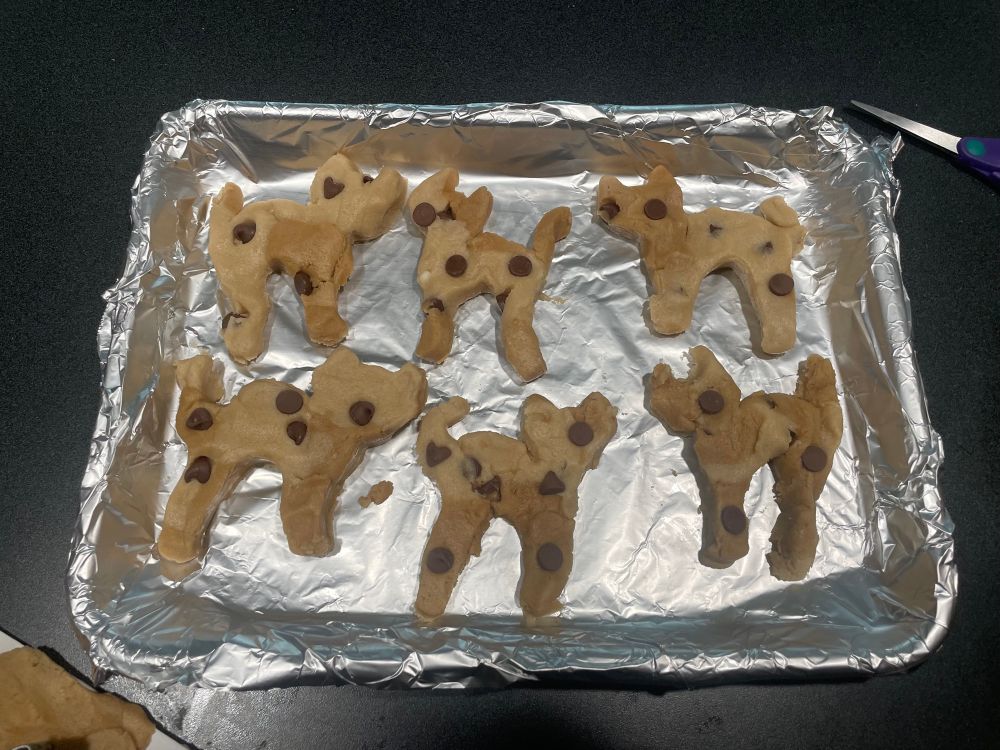 Calico cat cookies (before being baked)