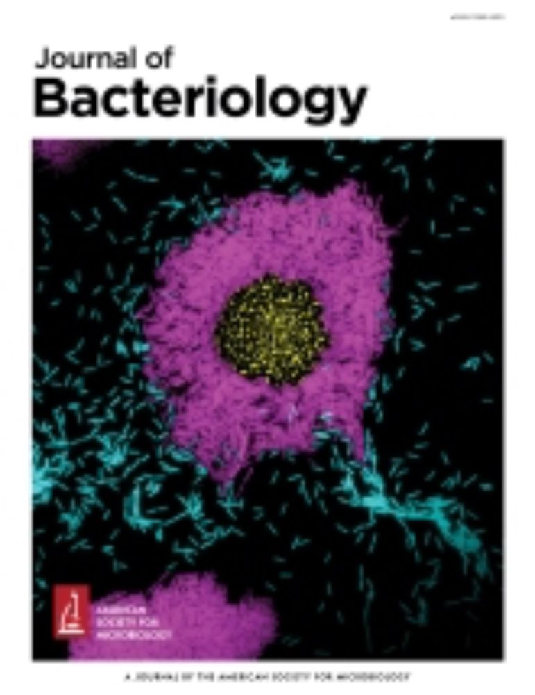 Nature should be the model for microbial sciences | Journal of Bacteriology