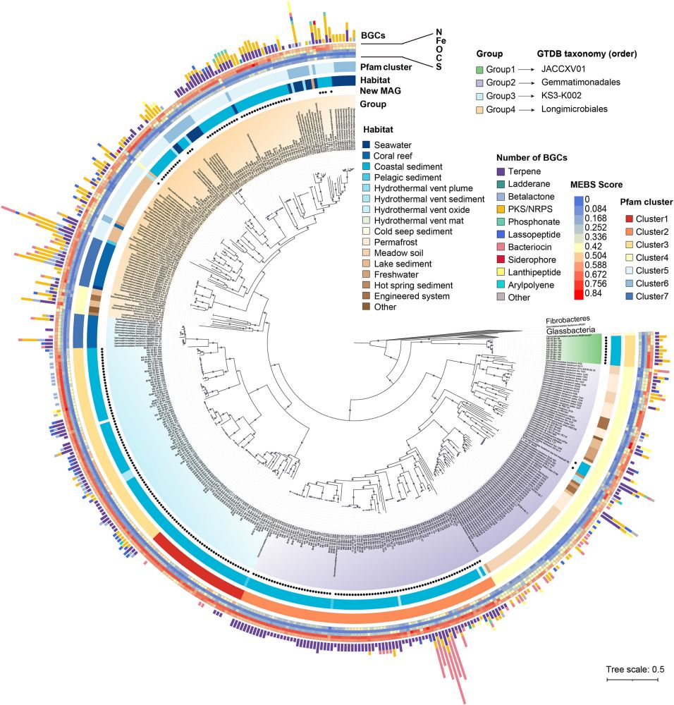 Globally distributed marine Gemmatimonadota have unique genomic potentials - Microbiome