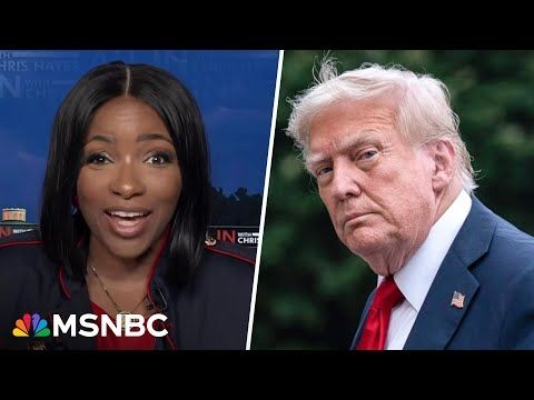 Crockett torches Trump over Epstein: 'He's got something to hide'
