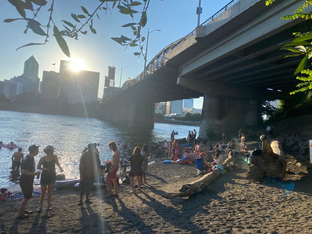 Many swimmers on a rocky beach under a bridge with a sun and downtown skyline across a river.