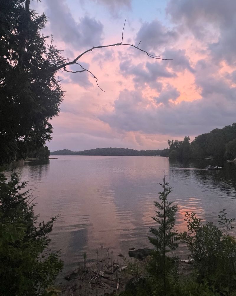 Cotton candy skies over a still pond