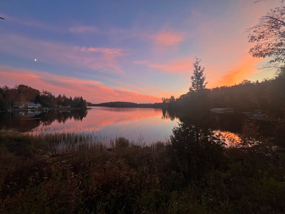 Rich blue and orange sunset over a pond framed in trees