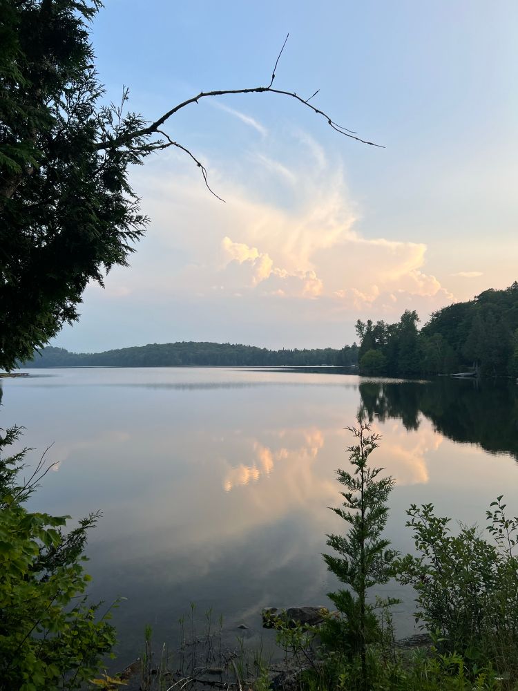 Clouds (pink and white) reflected in a still pond. 