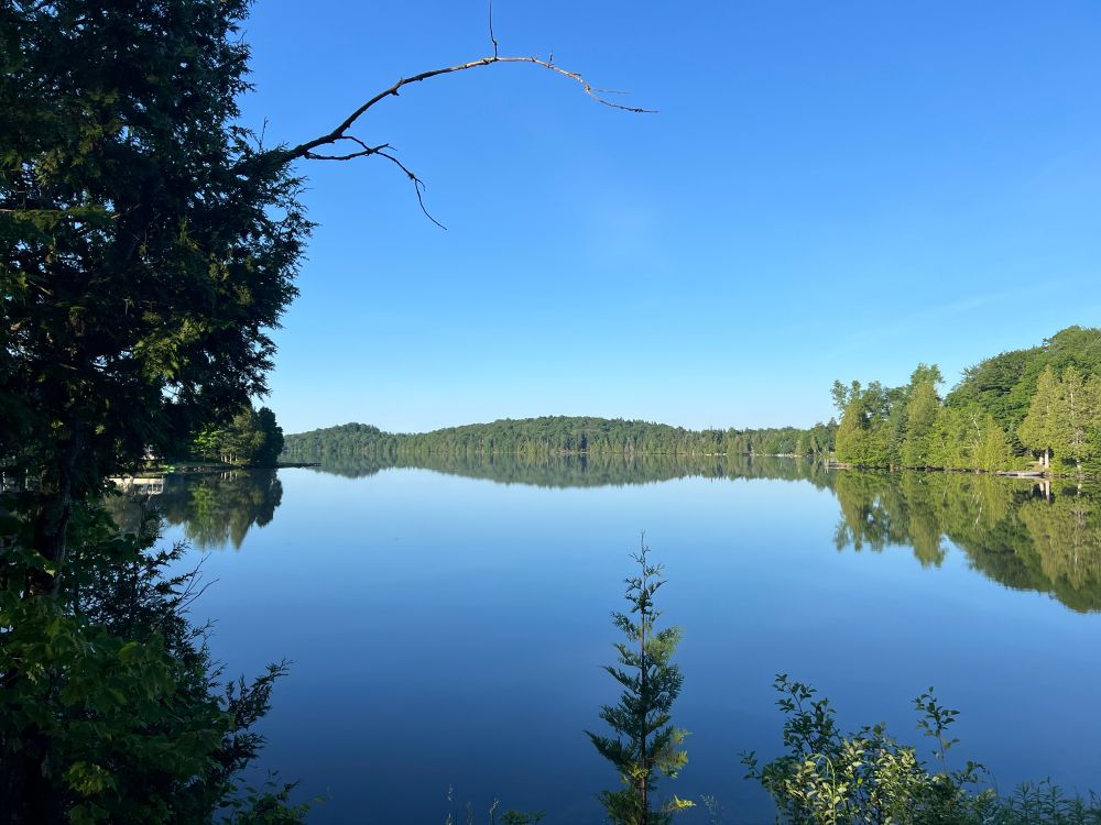 Bright blue skies over a clear pond.