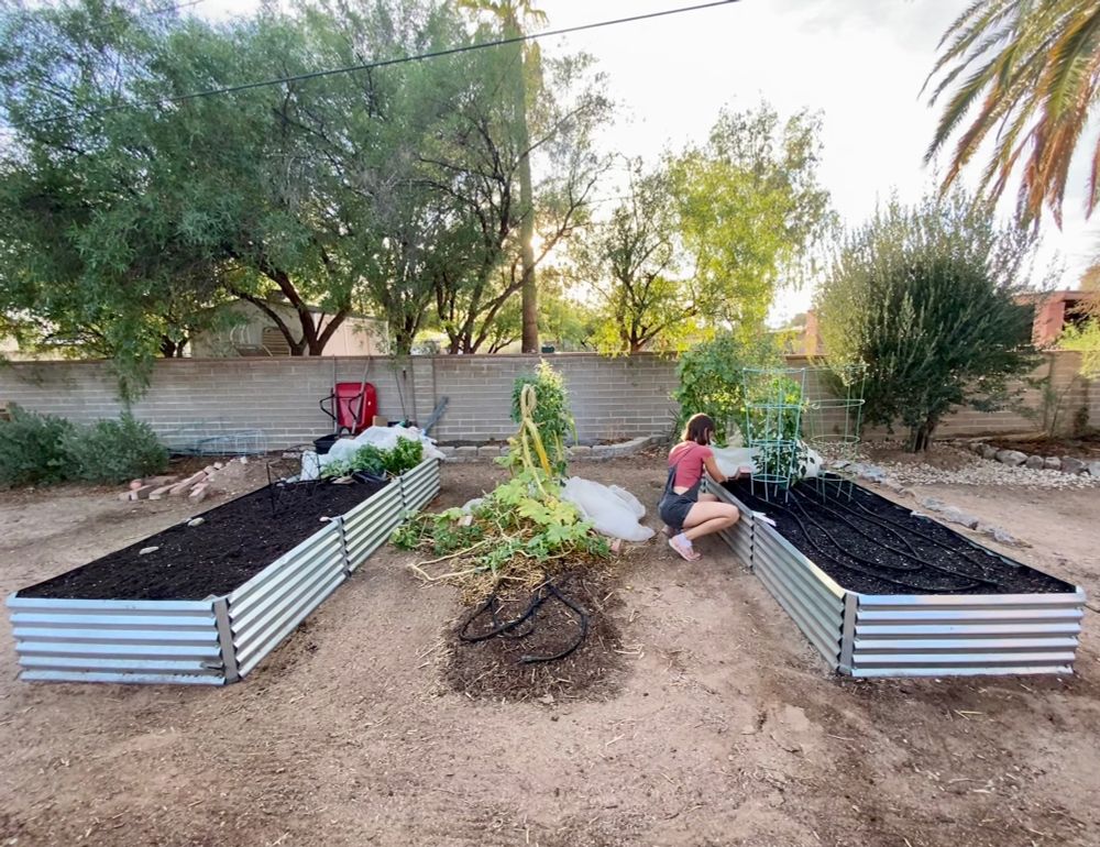 A woman crouching next to a raised garden bed with fresh dark soil, with two other garden beds behind her, and trees in the background