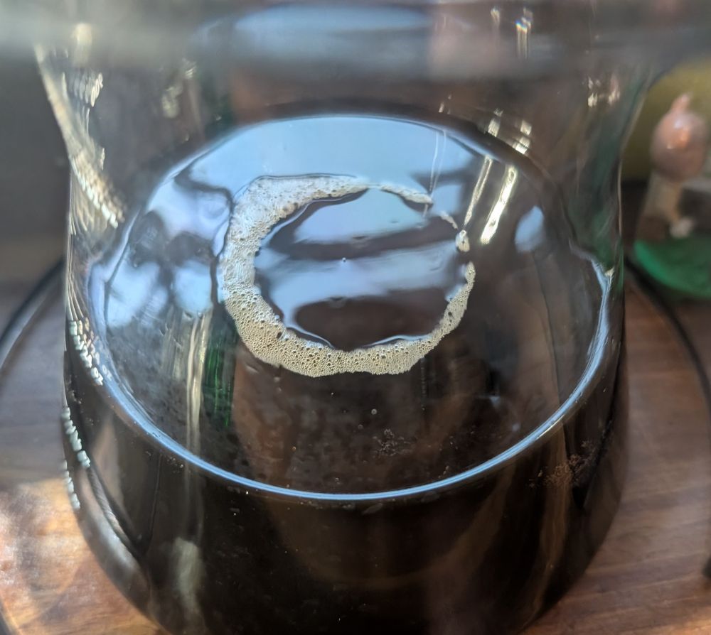 Cold brew in a carafe with a circle of bubbles on top. 