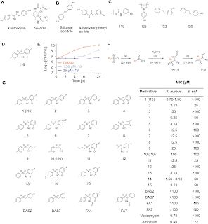 Graphical abstract for article