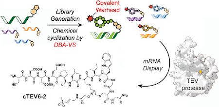 Graphical abstract for article