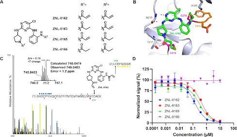 Graphical abstract for article