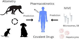 Graphical abstract for article