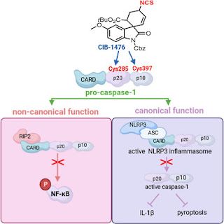 Graphical abstract for article
