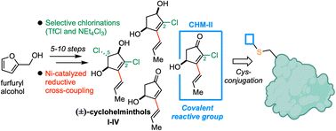 Graphical abstract for article