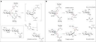 Graphical abstract for article
