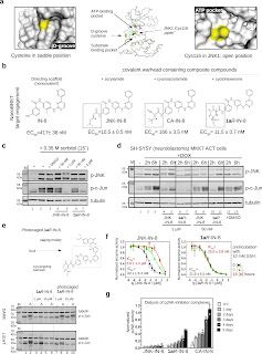 Graphical abstract for article