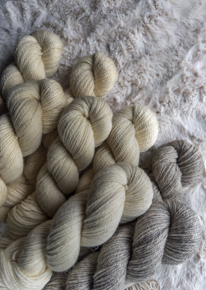 Eight skeins of undyed yarn on a cream rug. Six are cream coloured and two are grey. 