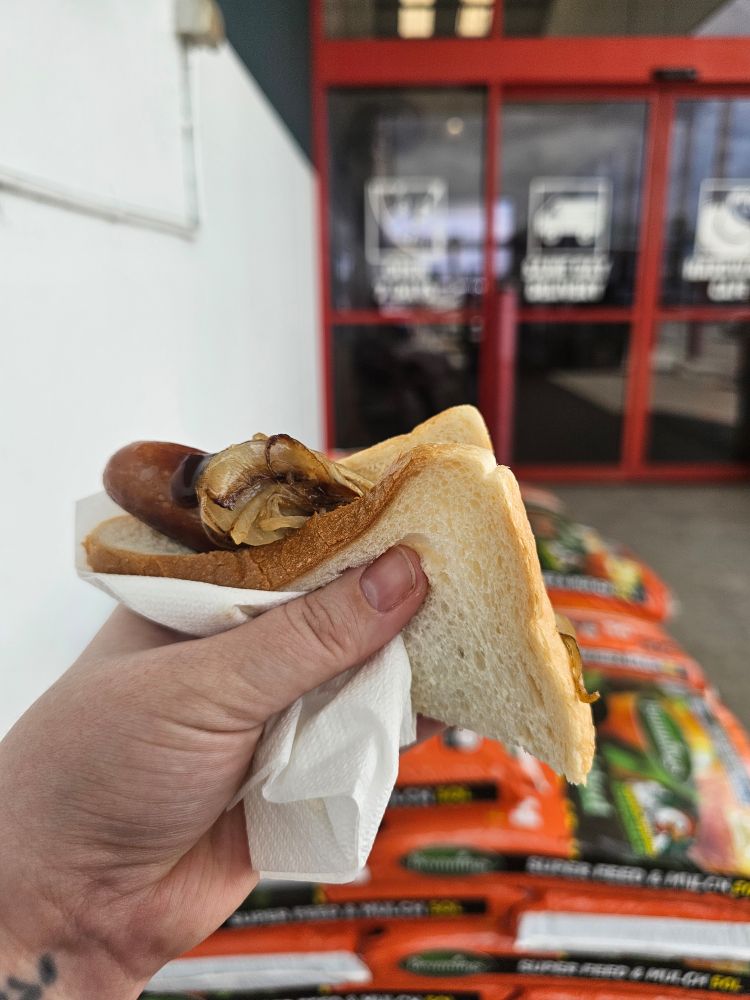 A hand holds a sausage in bread with onions. 