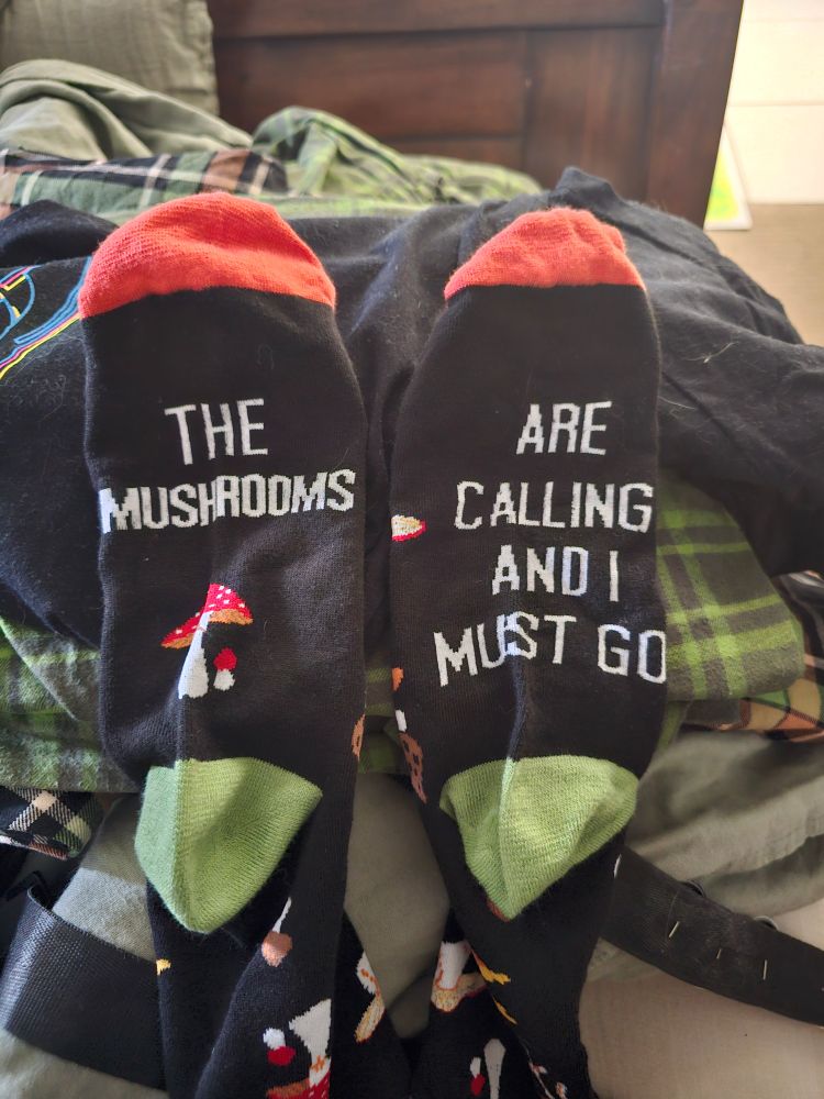 Socks that say (left) The mushrooms (right) Are calling and I must go