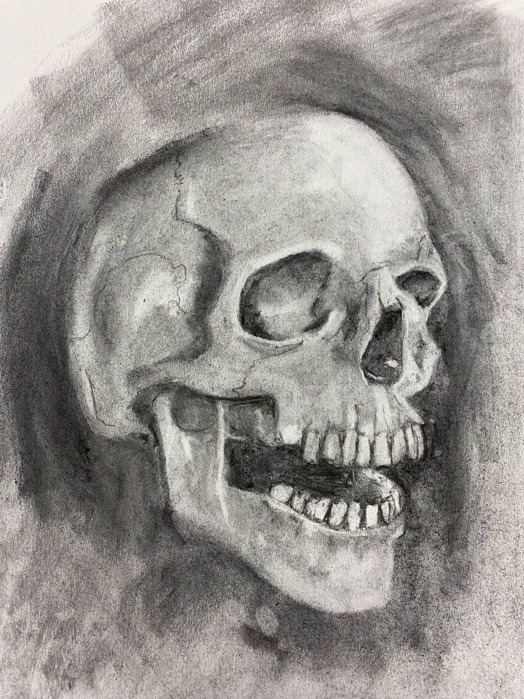 charcoal drawing of a skull