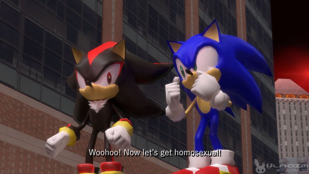 Shadow the Hedgehog stares at Sonic the Hedgehog, as the latter proclaims, "Woohoo! Now let's get homosexual!"