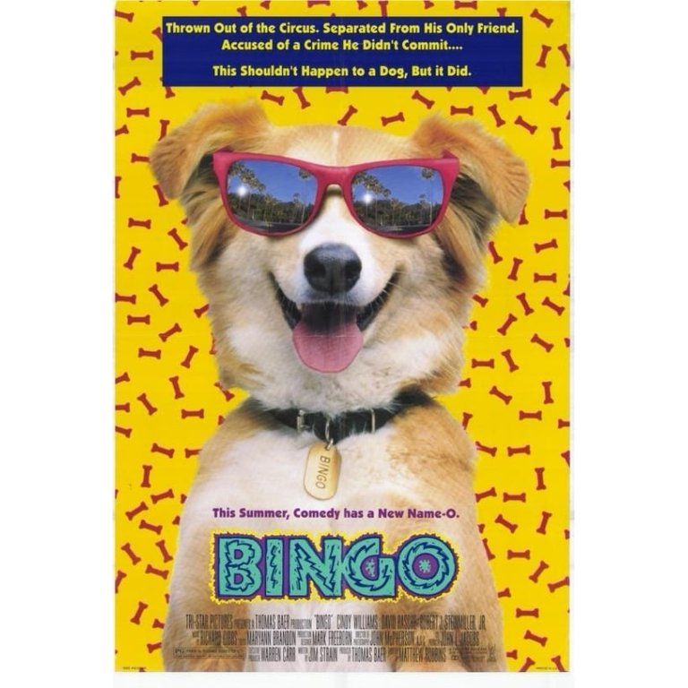 Poster for the 1991 Movie called Bingo. It is a movie about a dog named Bingo and his quest to find a boy who had to leave him behind.