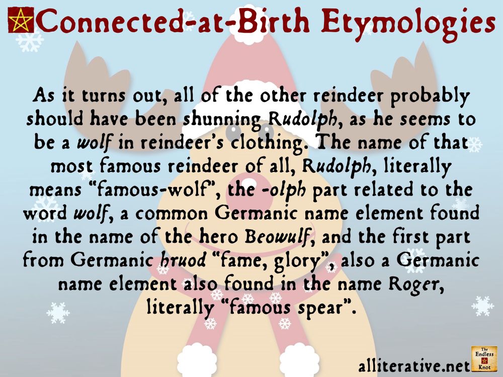 As it turns out, all of the other reindeer probably should have been shunning Rudolph, as he seems to be a wolf in reindeer’s clothing. The name of that most famous reindeer of all, Rudolph, literally means “famous-wolf”, the -olph part related to the word wolf, a common Germanic name element found in the name of the hero Beowulf, and the first part from Germanic hruod “fame, glory”, also a Germanic name element also found in the name Roger, literally “famous spear”.