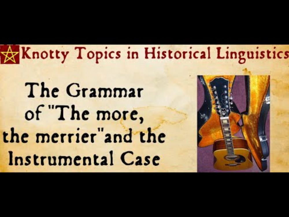 The More the Merrier: Grammar of the Instrumental Case