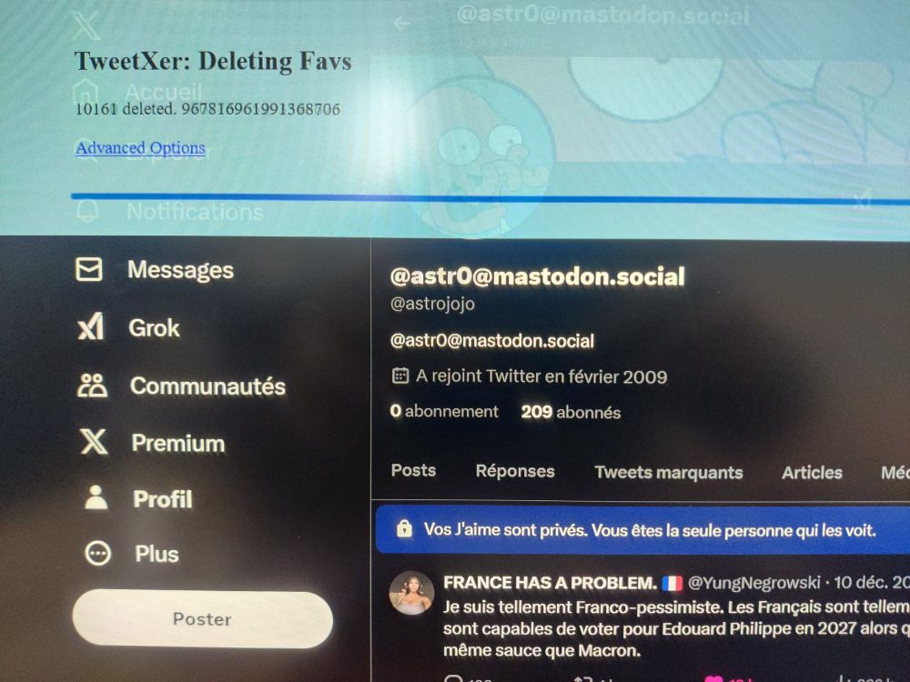 Capture d'écran de TweetXer en train de supprimer les likes de mon compte twitter/x