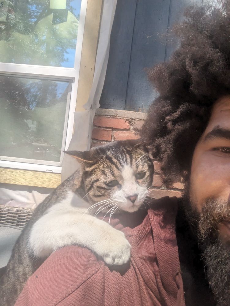 My Dad's cat, Monkey, Upset that I took a photo of him while attempting to climb up my shoulder 