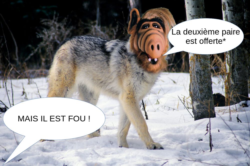 Un loup avec la tête de l'extraterrestre Alf dit "La deuxième paire est offerte*". Venant de hors du cadre, un bulle dit "MAIS IL EST FOU !"