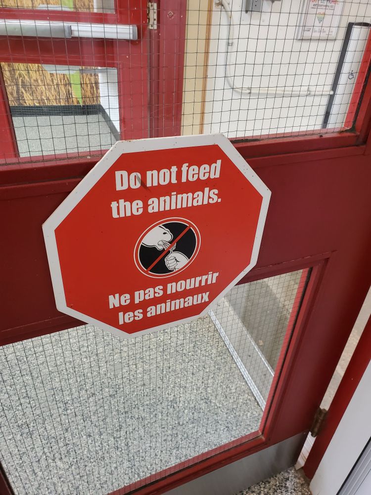 A stop sign that says "Do not feed the animals/Ne pas nourrir les animaux"