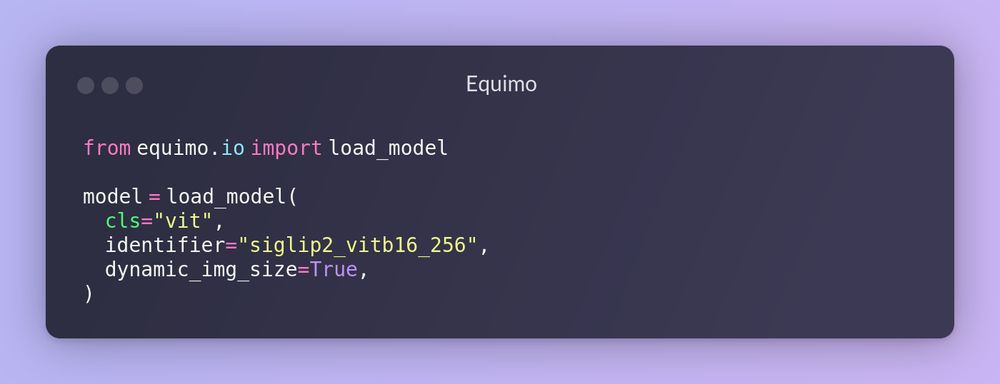 Loading SigLIP 2 computer vision model easily from the Equimo library