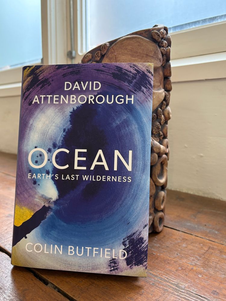 A photograph of a book, ‘Ocean’ by David Attenborough and Colin Butfield propped up against a ceramic vase, on a wooden windowsill. 
