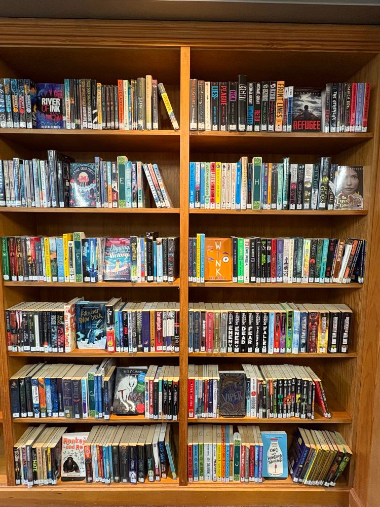 The same section of bookshelves, having had old, dated, or unborrowed stock removed. They have been tidied, and there is now space to face some books out on the shelves, which looks much more inviting.