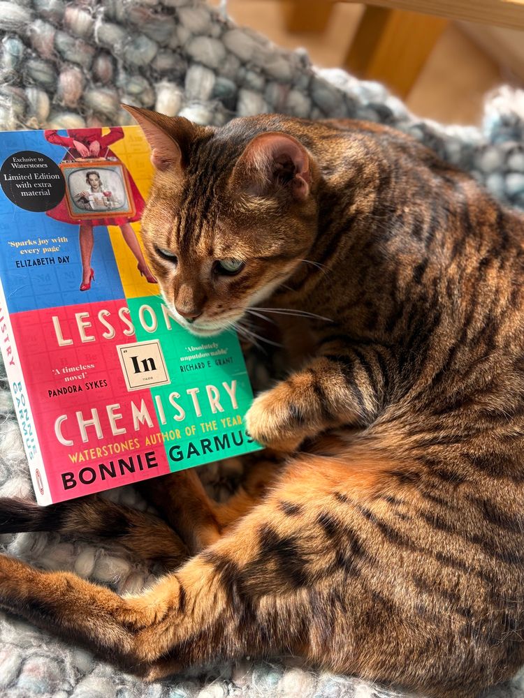 A brown Bengal cat is curled up on a blue blanket next to a copy of ‘Lessons in Chemistry’ by Bonnie Garmus.