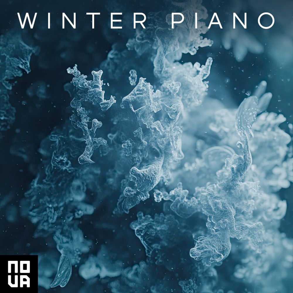 Cover art for the album 'Winter Piano' depicting close up of frost