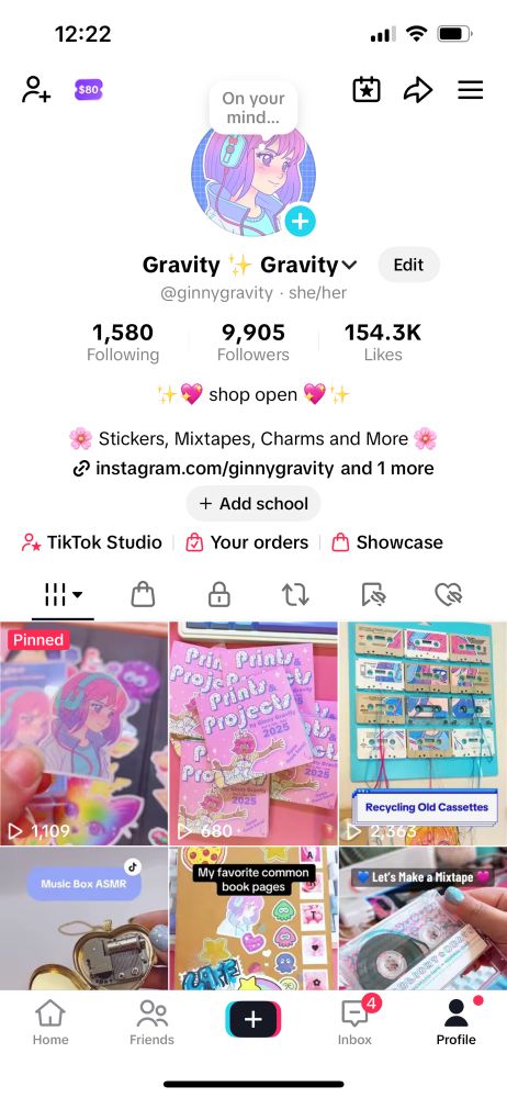 A screen shot of ginnygravity’s tiktok profile