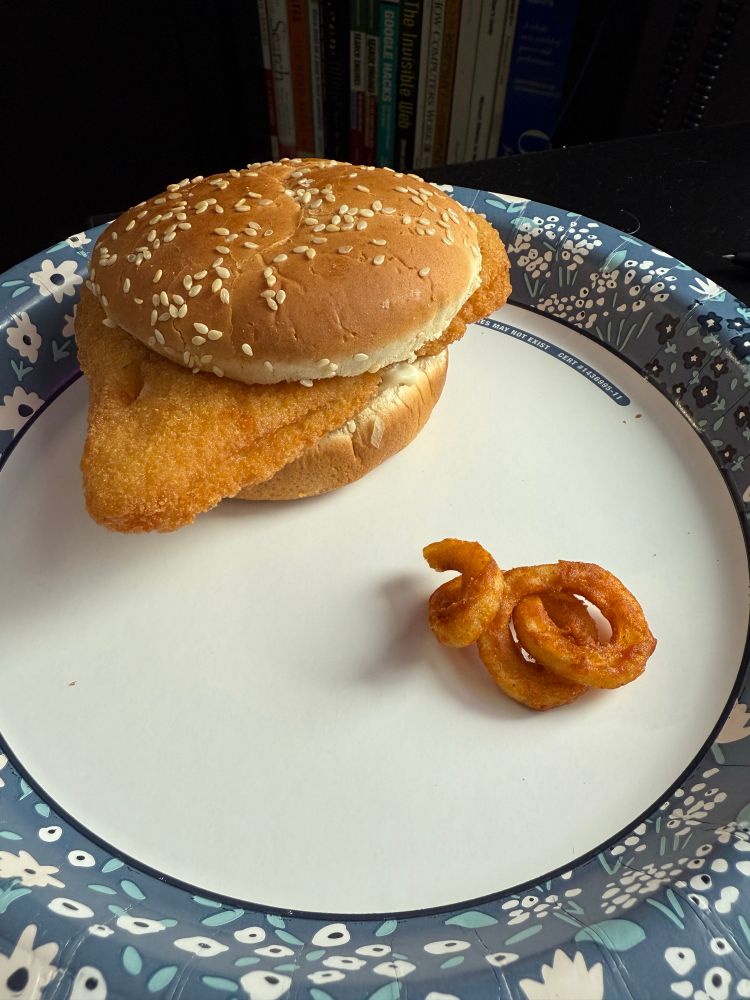 Plate showing a fish sandwich and one individual curly fry of diminutive size, from Arby’s