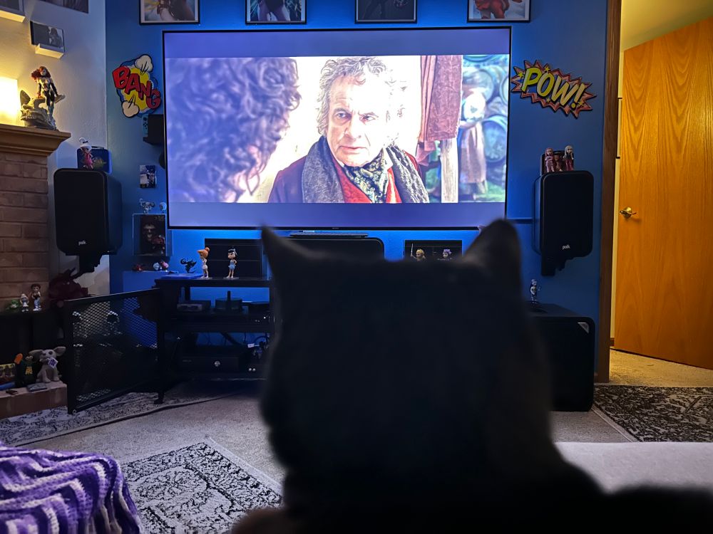 A silhouette of a black cat head, in front of a TV showing a scene with Bilbo Baggins from Fellowship of the Ring.
