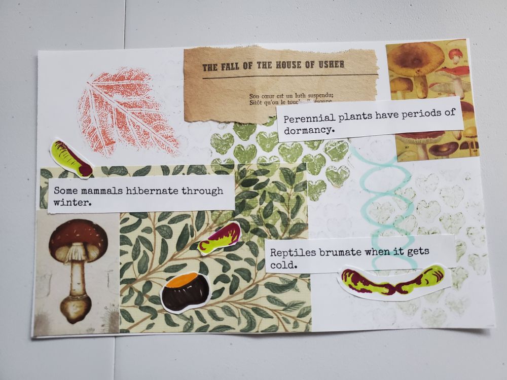 A photo of another two page spread inside the zine. This one features small decorative mushroom papers in a couple corners, a red ink print of a maple leaf in one corner, a few marker drawn seedpods twirling down the page, and a marker drawn horse chestnut as well. There are sage green heart shapes in the center of the page which were printed with heart shaped bubble wrap. Decorative green leaf paper and a scrap of an old yellowed title page of the fall of the house of usher are also in the background. The text scattered on the page says, "perennial plants have periods of dormancy. Some mammals hibernate through winter. Reptiles brumate when it gets cold."