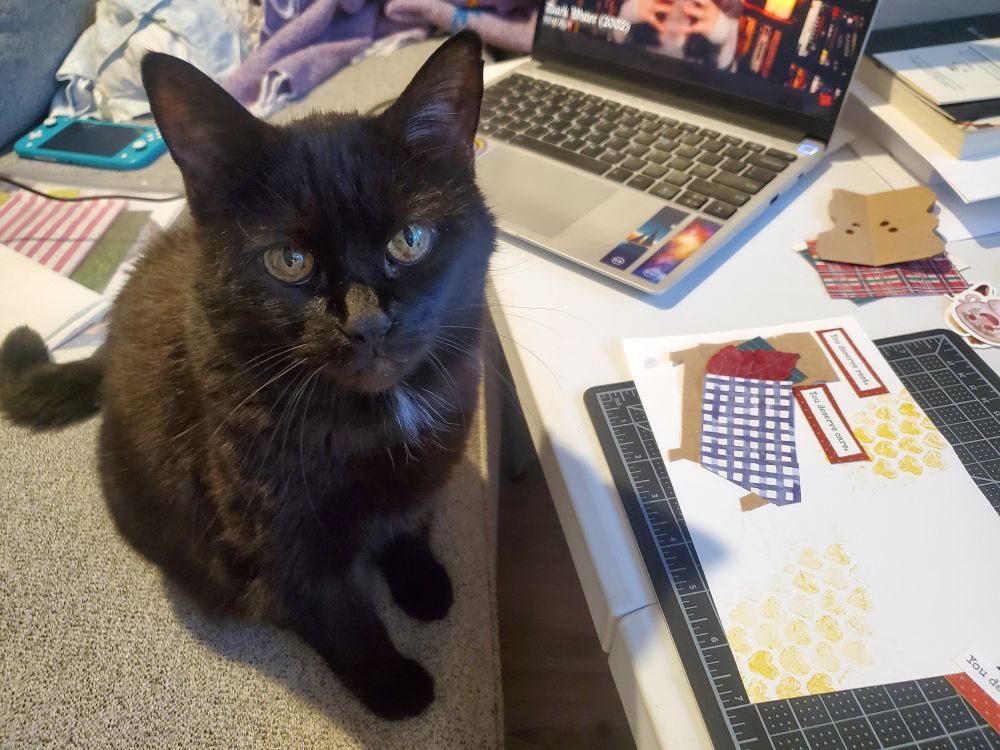 A photo of Kira the black cat sitting up on a grey couch in front of a white folding table. The point of view from which this picture was taken is sitting next to Kira on the couch, and she is looking at the camera with a somewhat annoyed expression. Her eyes are greenish yellow and she has a few white furs on her chest. There is a zine in progress sitting on a mat on the table, and if you zoom in you might see a spot of drool on the corner of the zine. There are a couple books and scraps on the table as well as an open laptop. Behind Kira on the couch there are some assorted papers and a blue nintendo switch lite. A pillow and a purple blanket are squished in the very back.