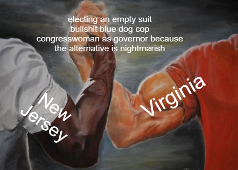 dumb meme insinuating that Abigail Spanberger and Mikie Sherrill are useless