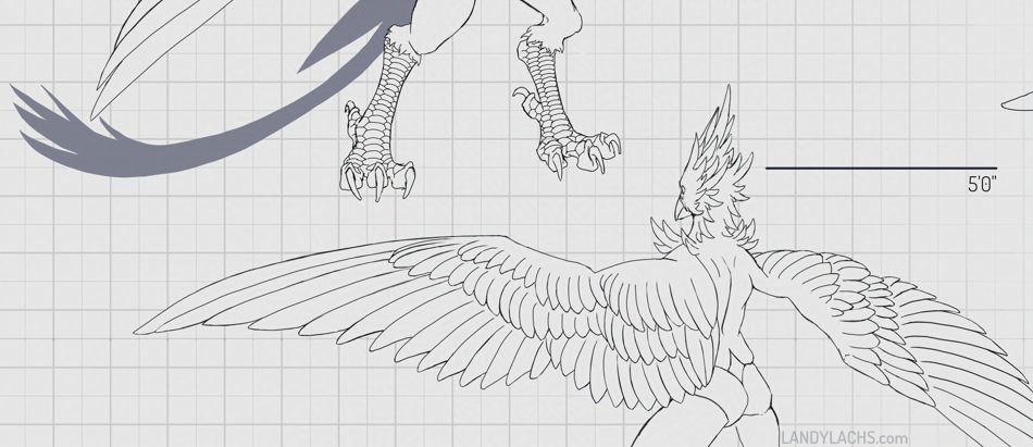 Reference sheet crop highlighting the scale and feather detail of an anthro avian character. Lineart. 