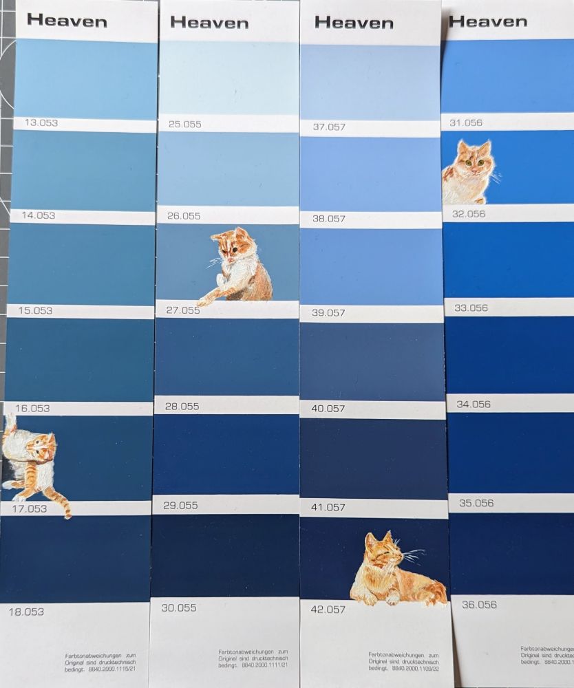 4 Katzen in Acryl auf 4 Farbkarten eines Baumarkts 