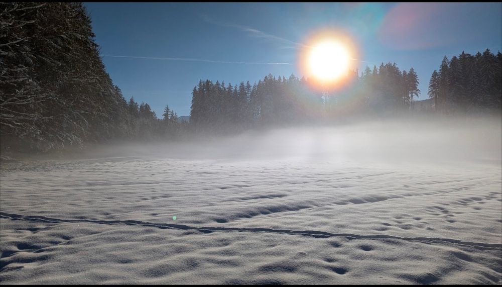 Schneebedeckte, leicht hügelige Landschaft bei tiefstehender, strahlend heller Sonne. Ein feiner Nebel liegt über dem weißen Feld und wird vom Sonnenlicht durchleuchtet. Dichte, dunkle Nadelwälder rahmen das Bild links und rechts, während der Himmel klar und blau ist.